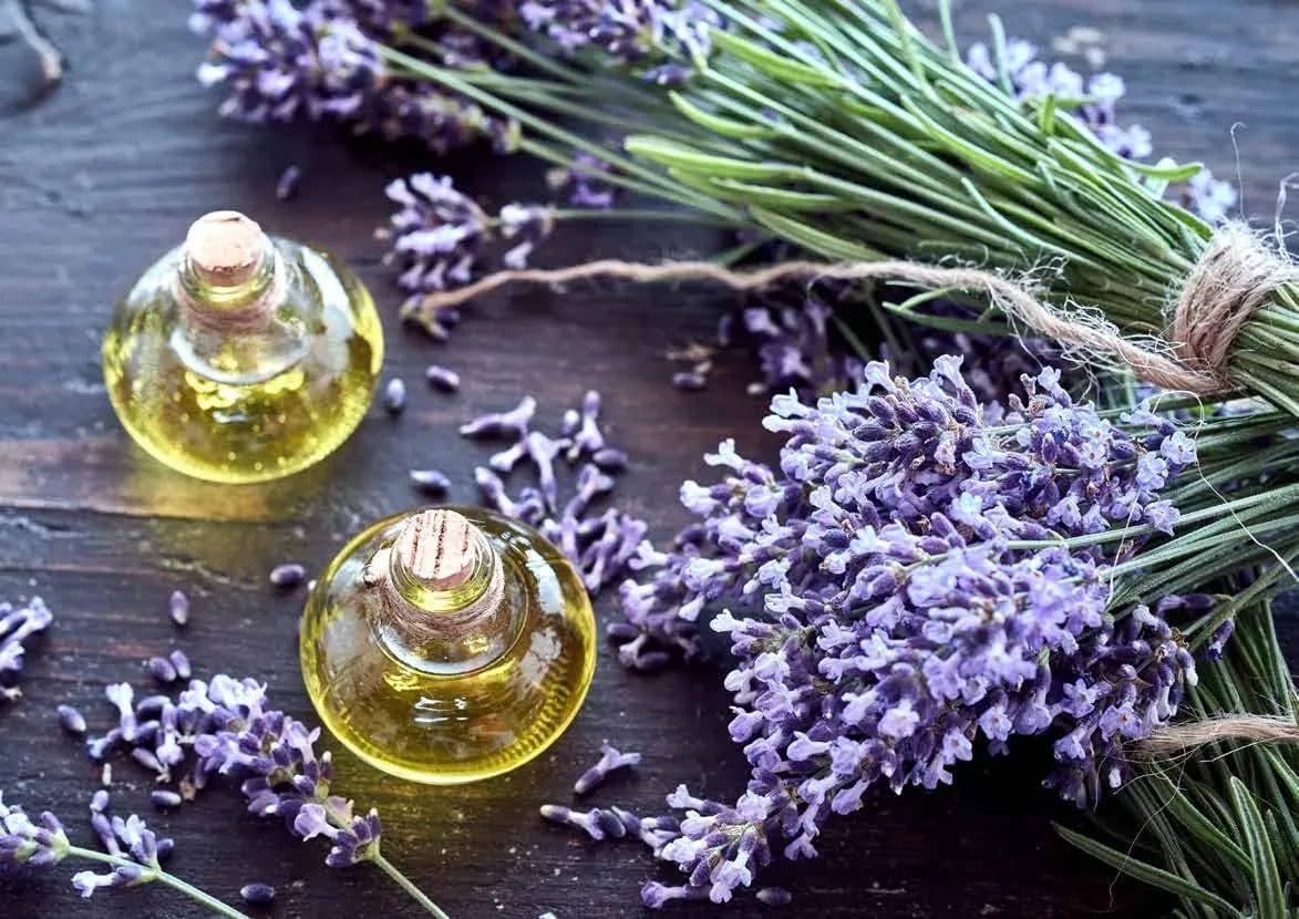 Lavendel und ätherische Öle in kleinen Glasflaschen auf dunklem Holz